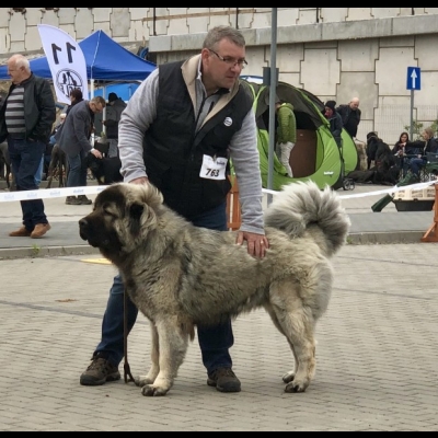 IDS OPOLE'19 - MIMIR - ZWYCIĘZCA MŁODZIEŻY, NAJLEPSZY JUNIOR W RASIE